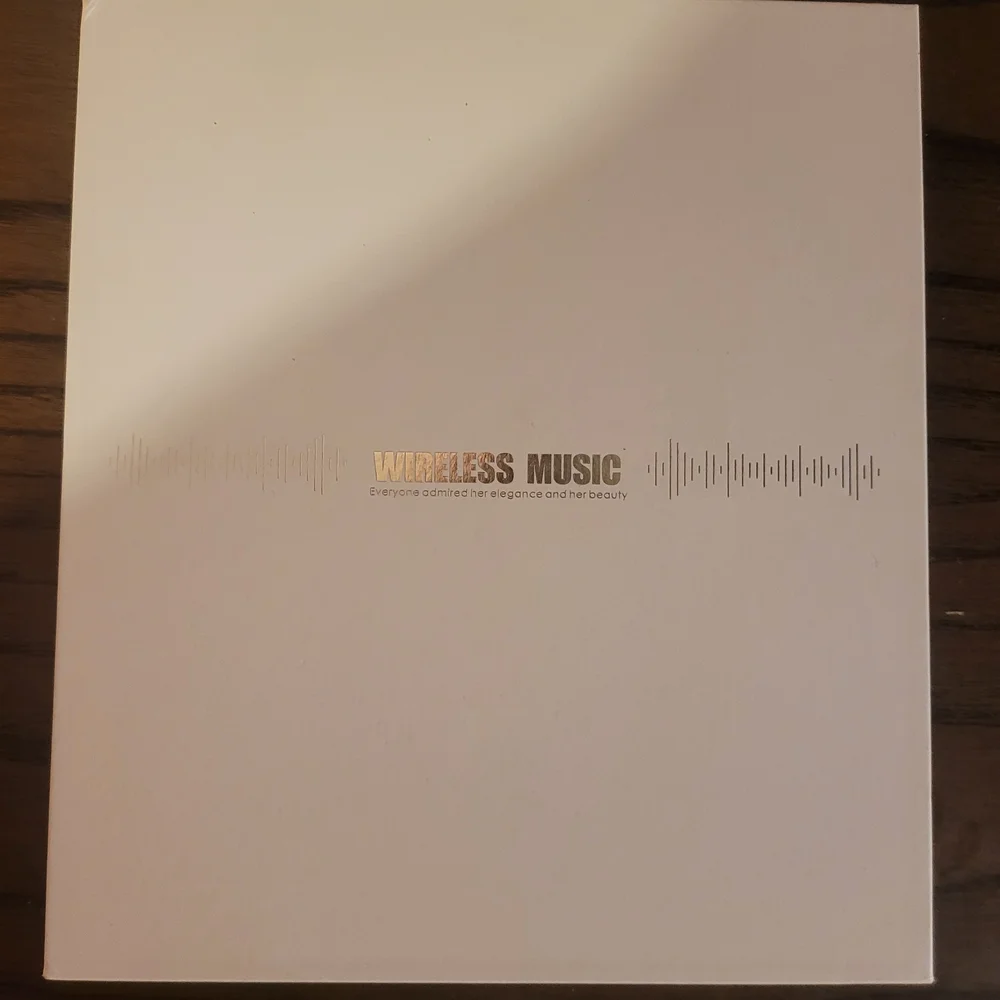 Black Wireless Neckband Earphones
